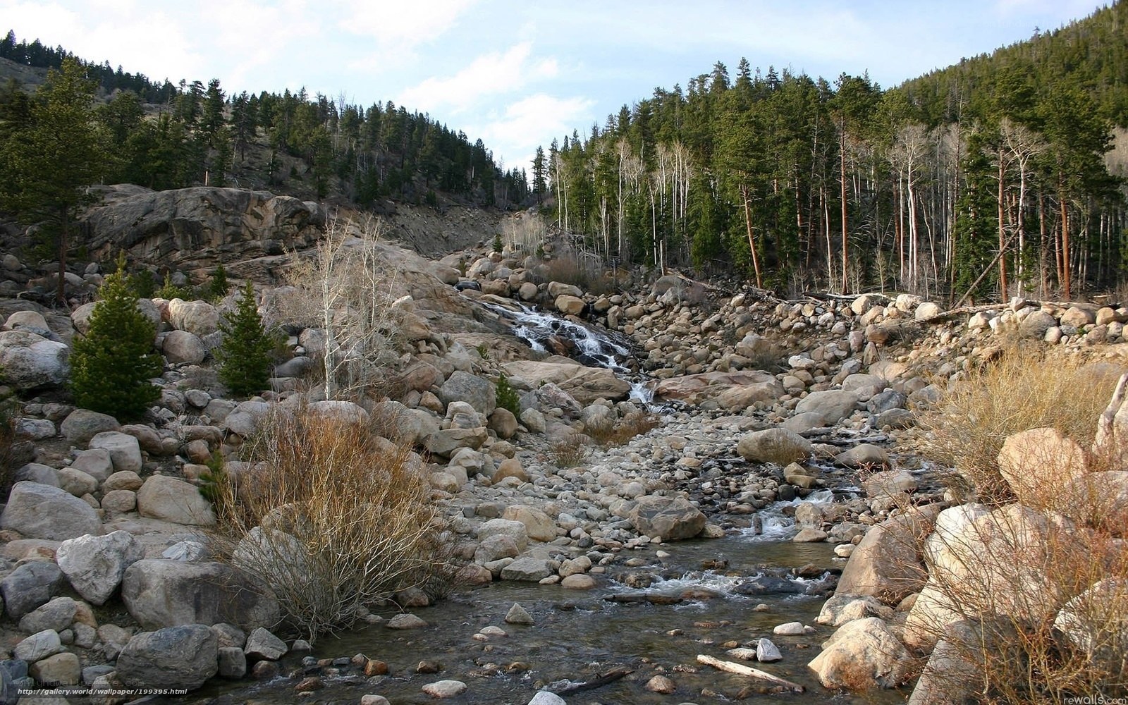 River flowing through rocky forest