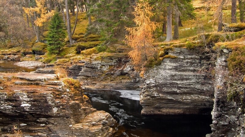 River flowing through rocky gorge