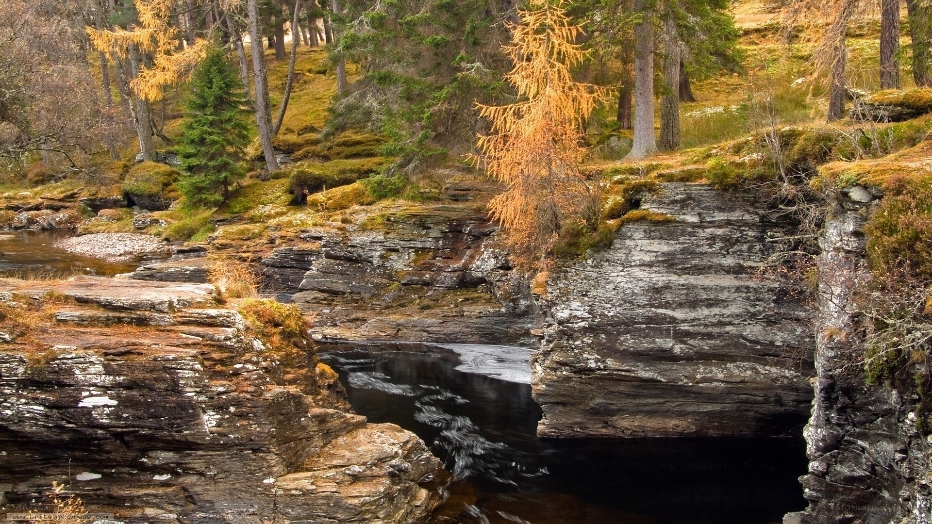 River flowing through rocky gorge