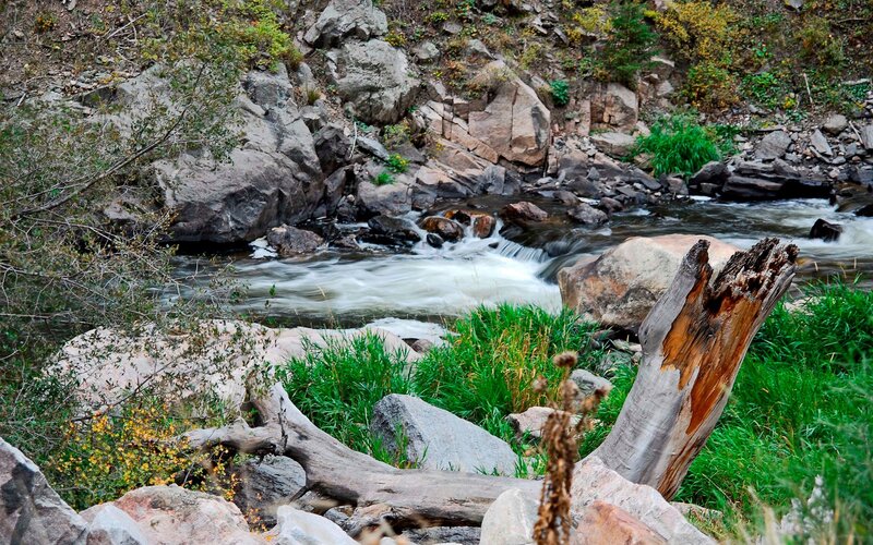 River flowing through rocky terrain