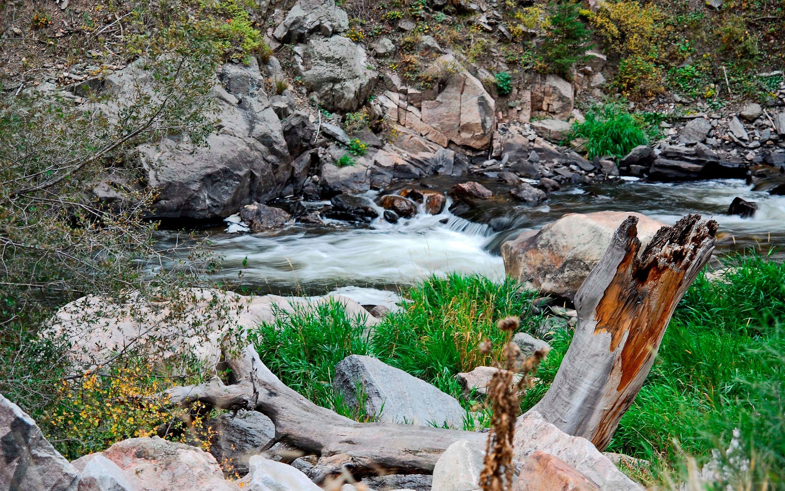 River flowing through rocky terrain