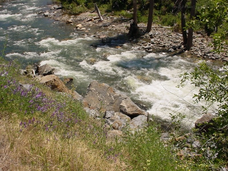 river flowing through rocky terrain