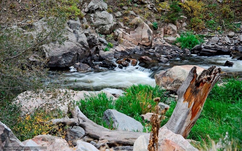 River flowing through rocky terrain