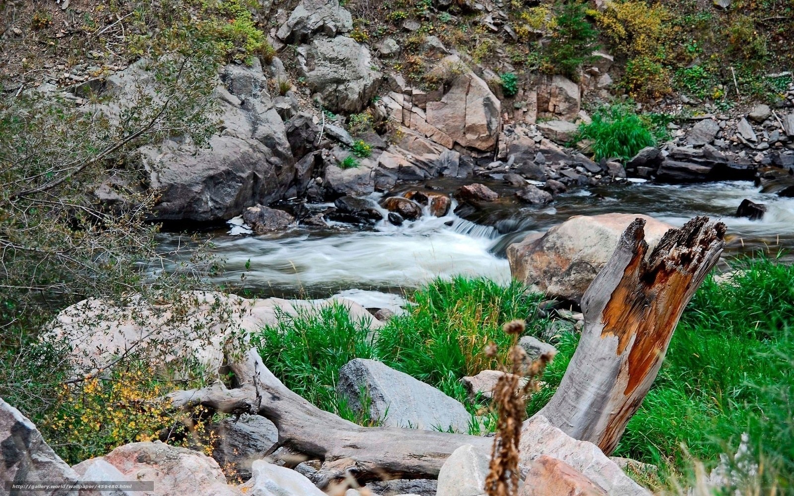 River flowing through rocky terrain