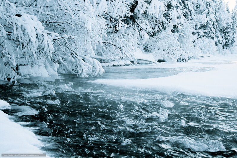 River Flowing Through Snow — White, Cold, Winter
