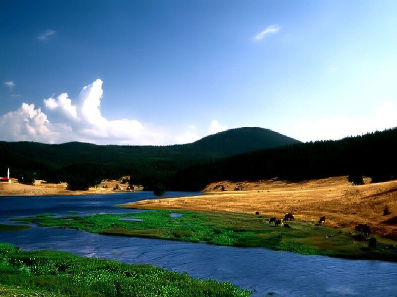 River Flowing Through Valley — Blue, Serene, Afternoon, Photograph, Mountains, Cows
