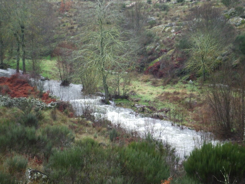 River Flowing Through Valley — Green, Calm, Autumn