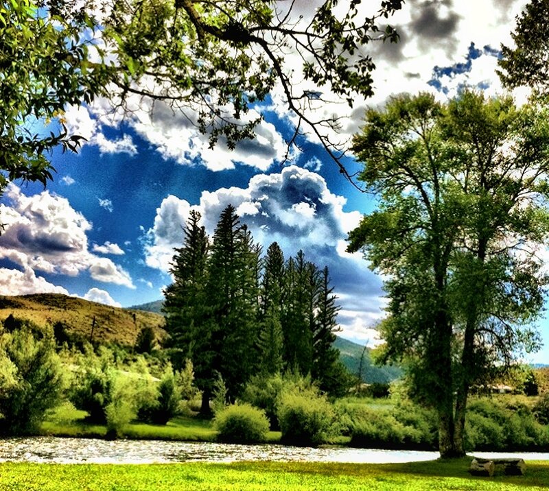River Flowing Through Valley — Green, Dramatic, Afternoon, Photograph, Trees