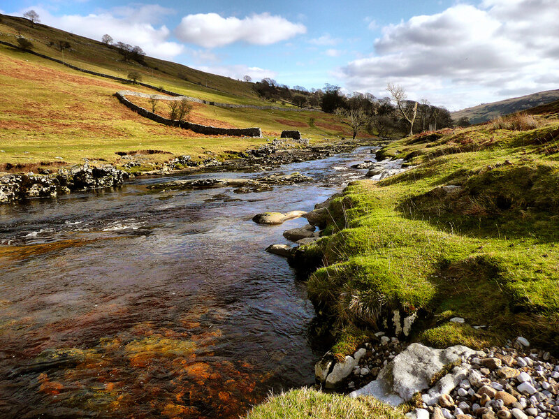 River Flowing Through Valley — Green, Serene