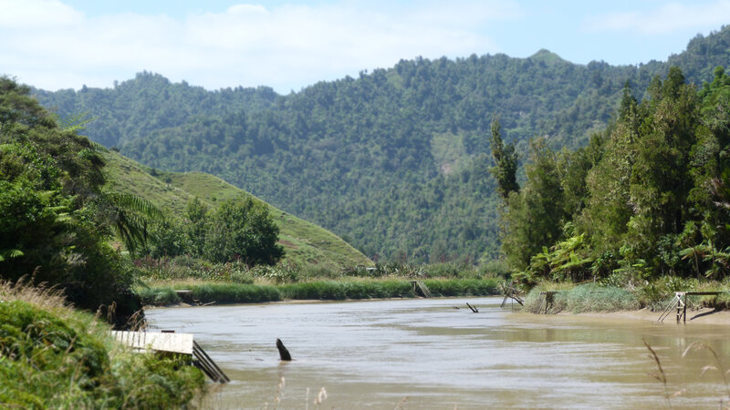 River Flowing Through Valley — Green