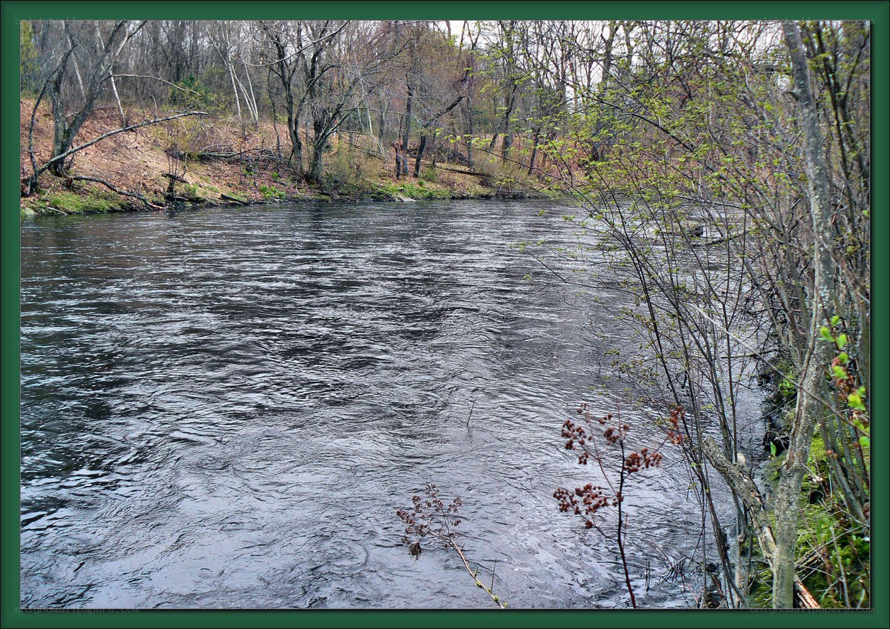 River flowing through wooded area