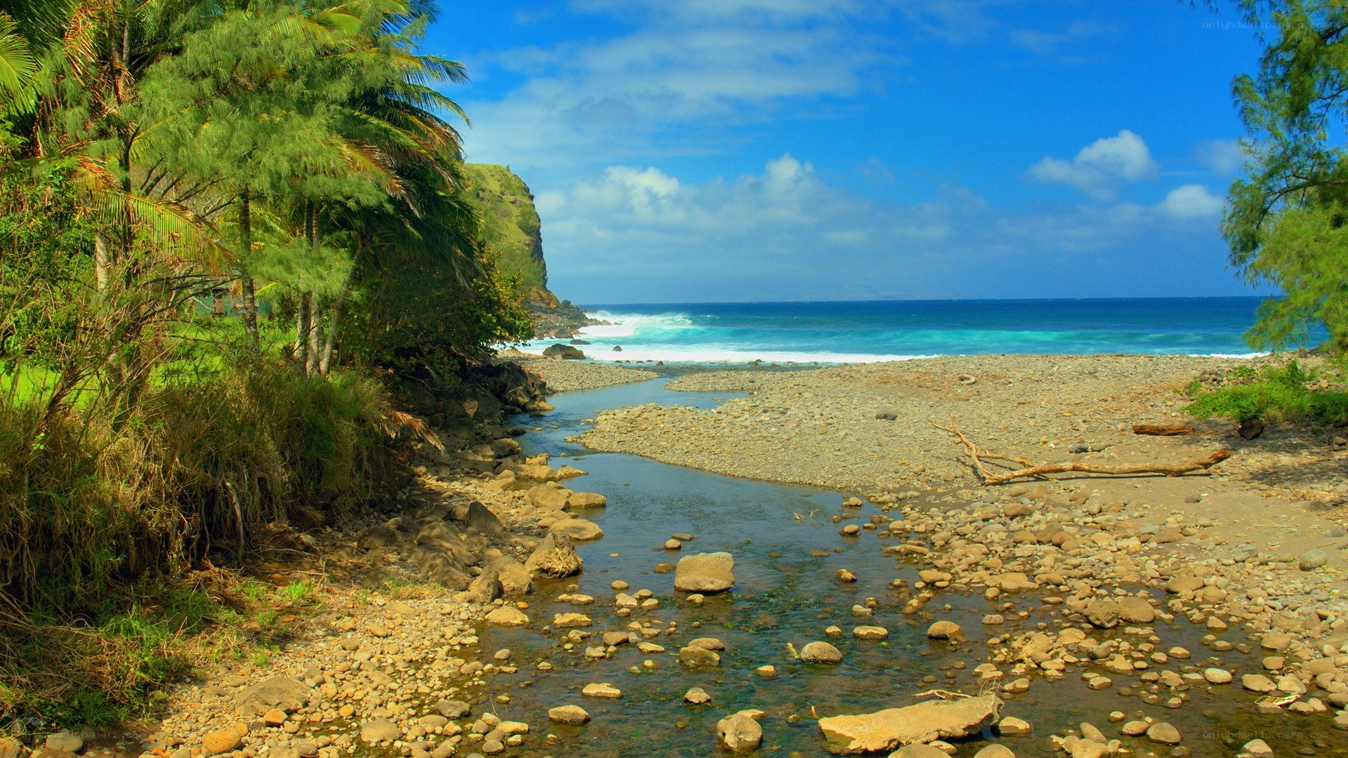 River flowing to the ocean
