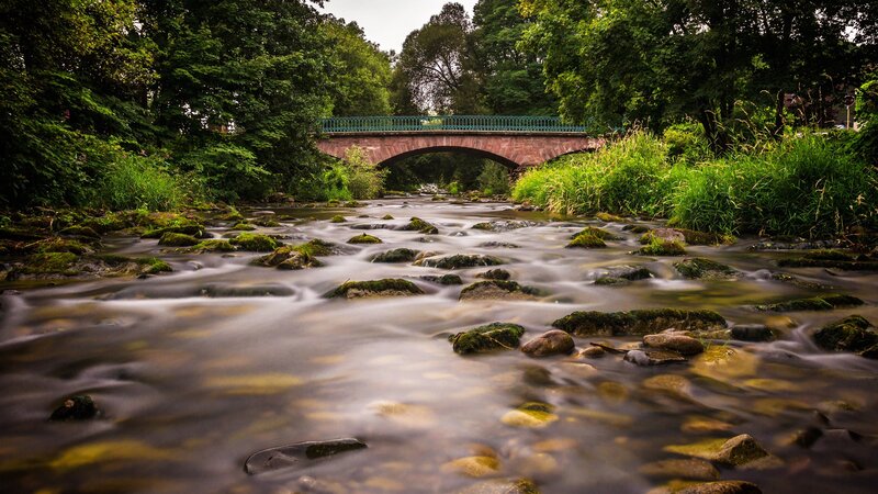 River Flowing under Bridge — Green, Serene