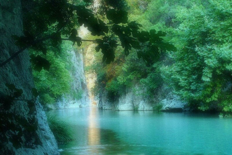 River in a Canyon — Green, Serene, Morning