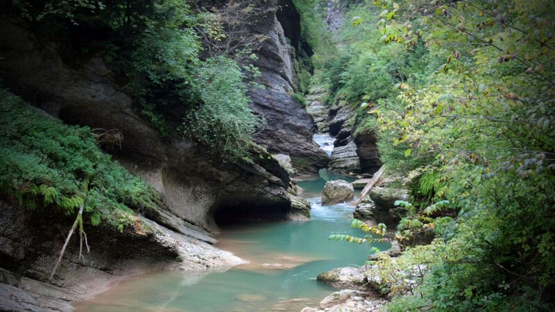 River in a Canyon — Green, Serene, Photograph
