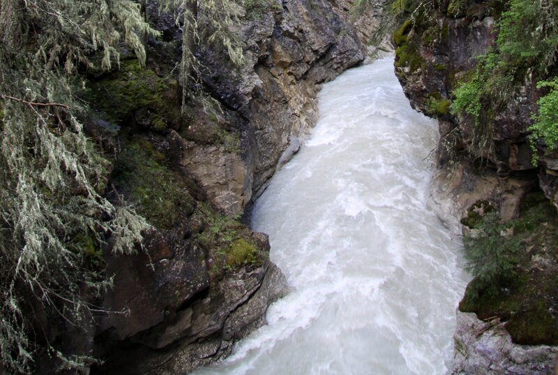 River in a Canyon — Green, Wild, Photograph, Trees