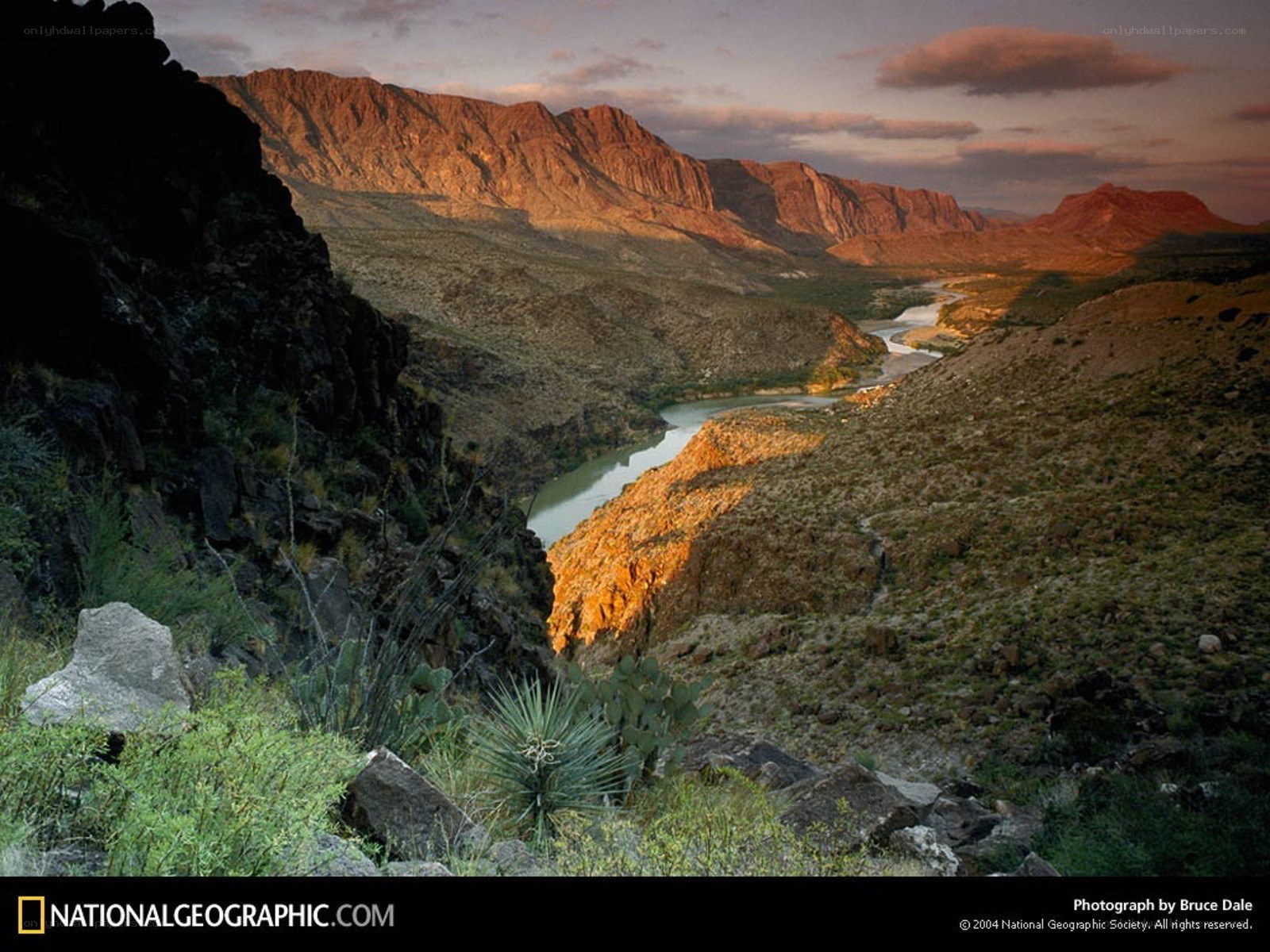 River in a desert canyon