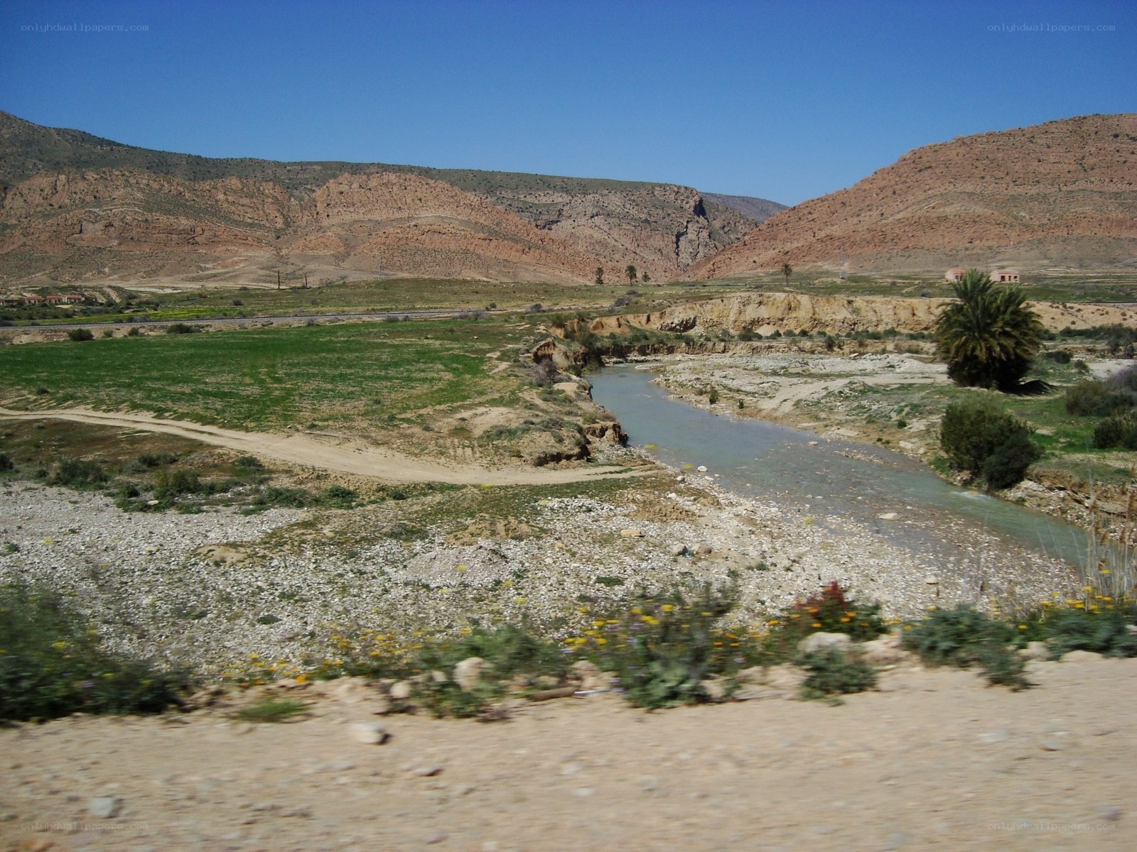 River in a desert valley