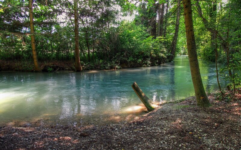 River in a forest