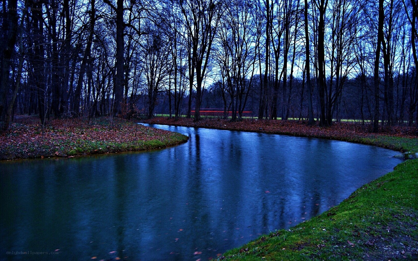 River in a forest at dusk