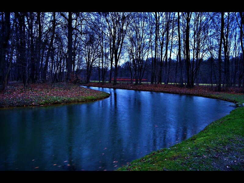 River in a forest at dusk