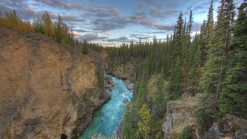 River in a Forest Canyon — Blue, Serene