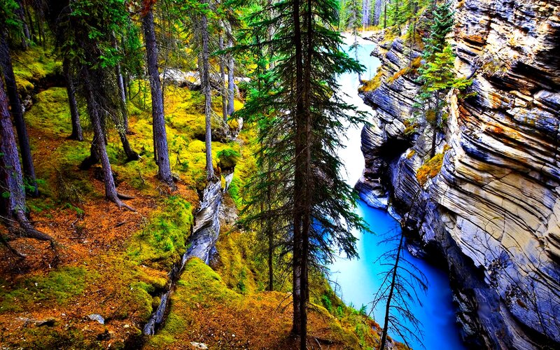 River in a Forest Canyon — Blue