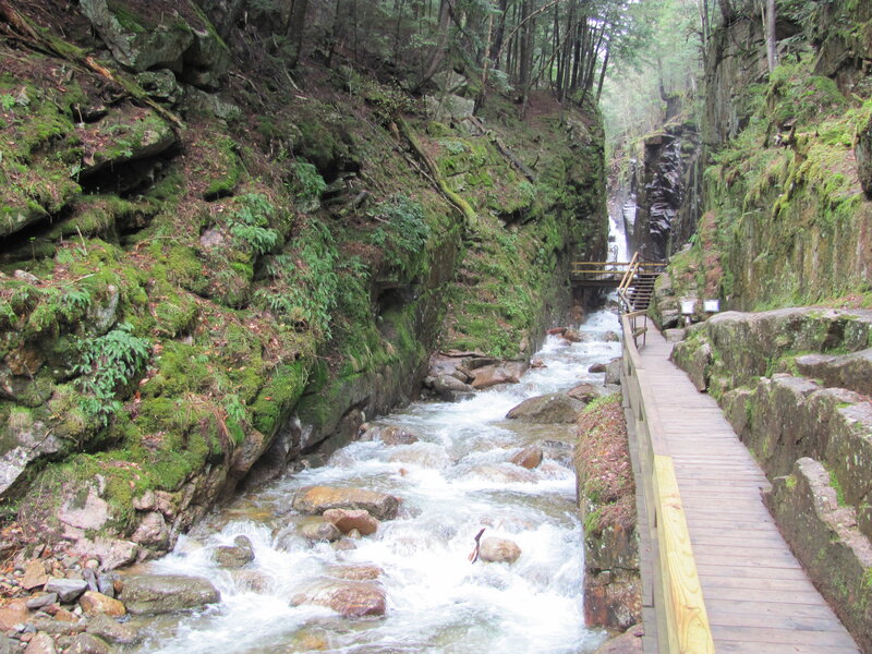 River in a Forest Canyon — Green