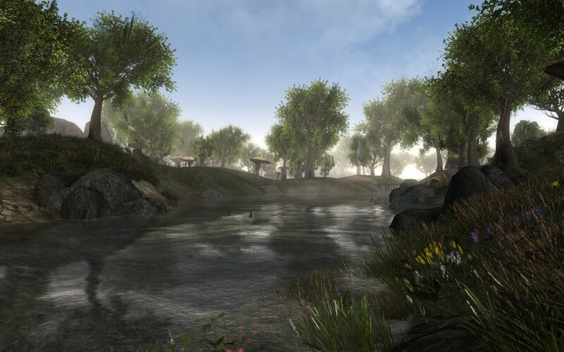 river in a forest clearing