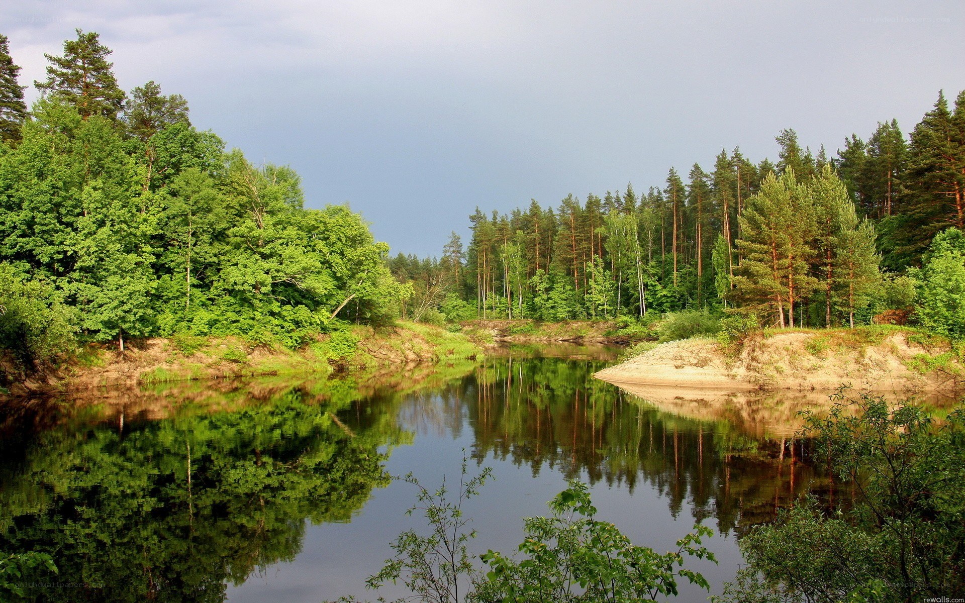 River in a forest landscape