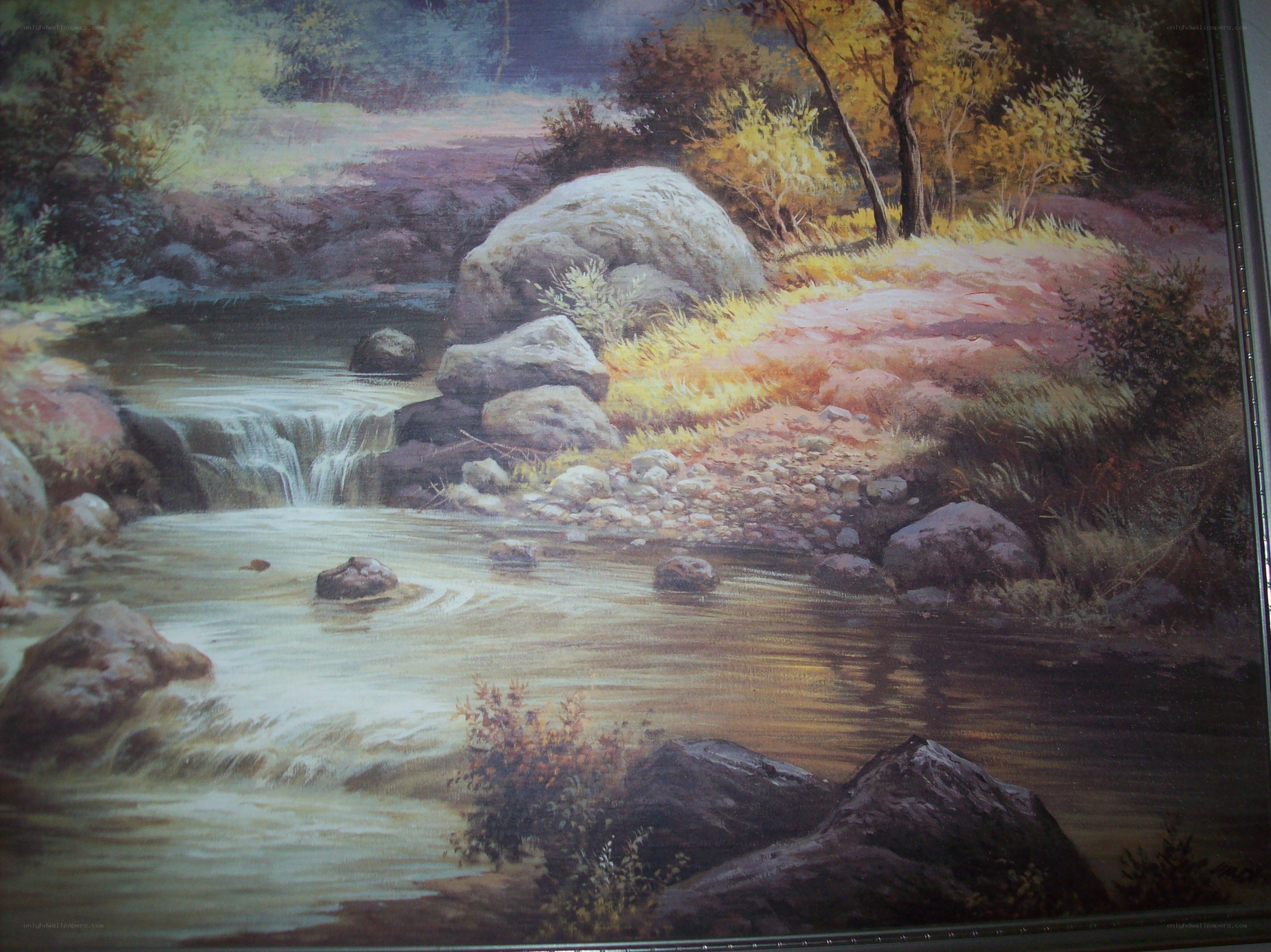 River in a forest landscape