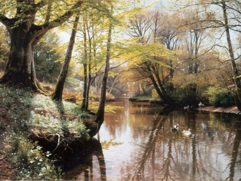 River in a forest landscape