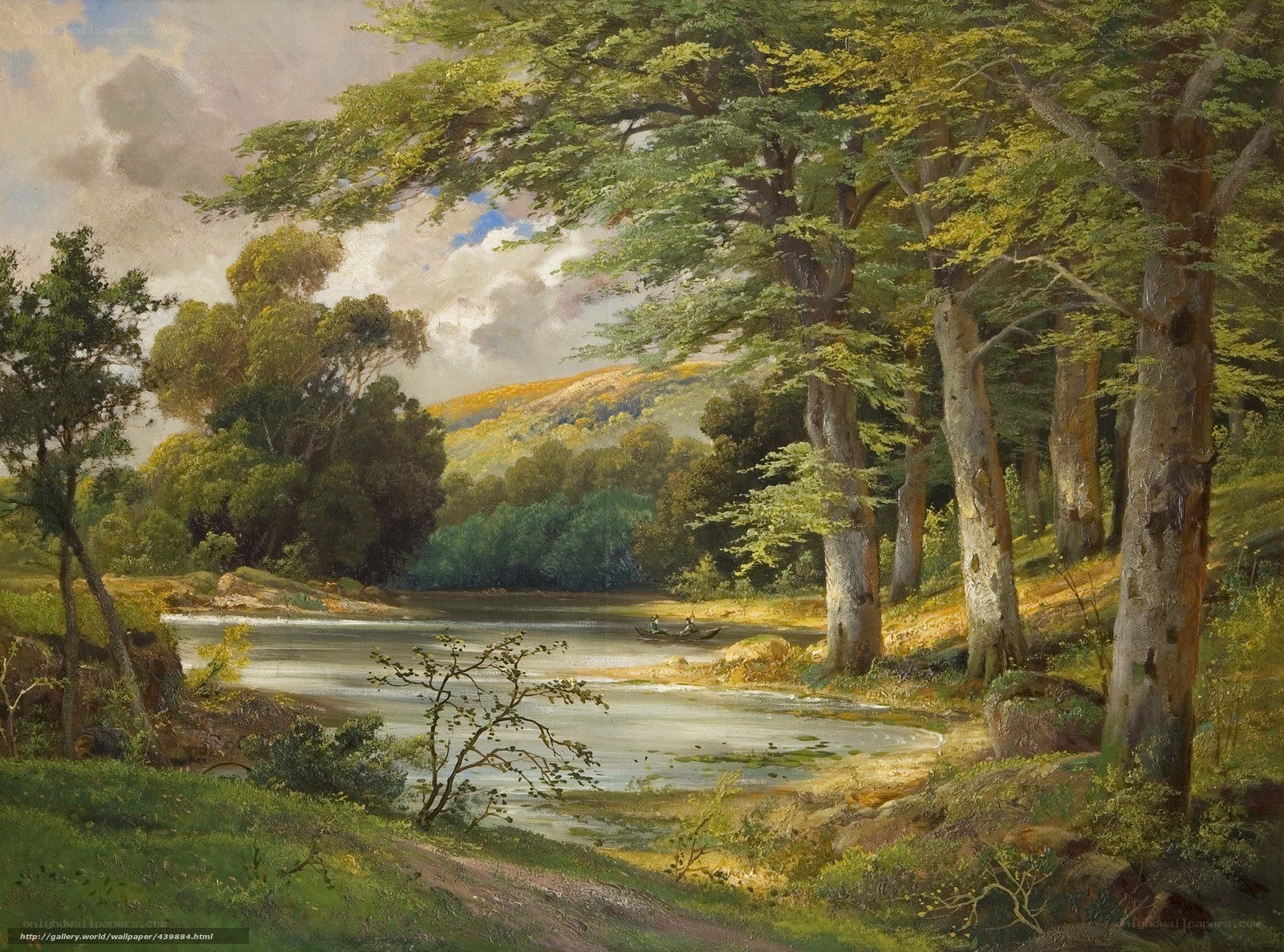 River in a Forest Landscape