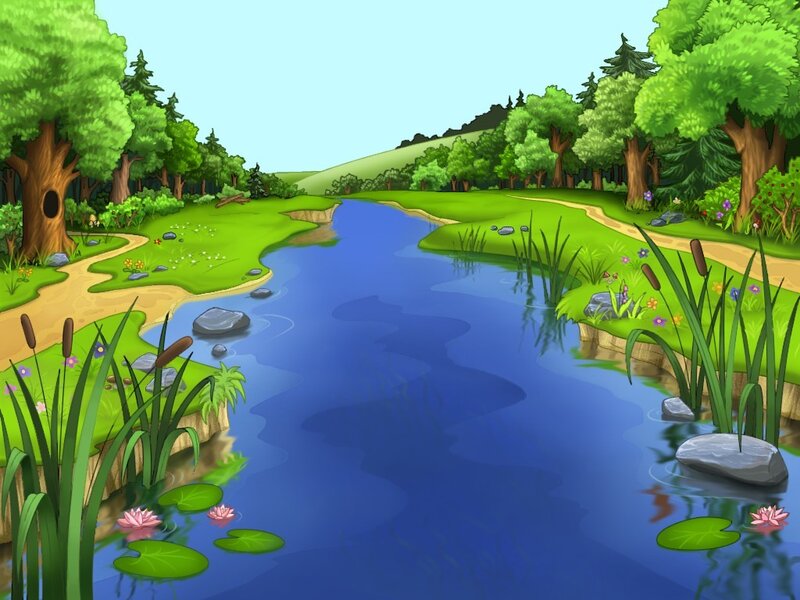 River in a forest landscape