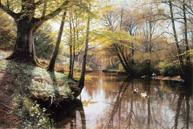 River in a Forest Landscape
