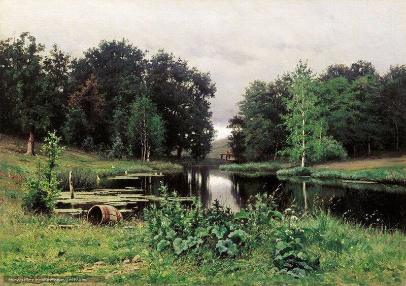 River in a Forest Landscape