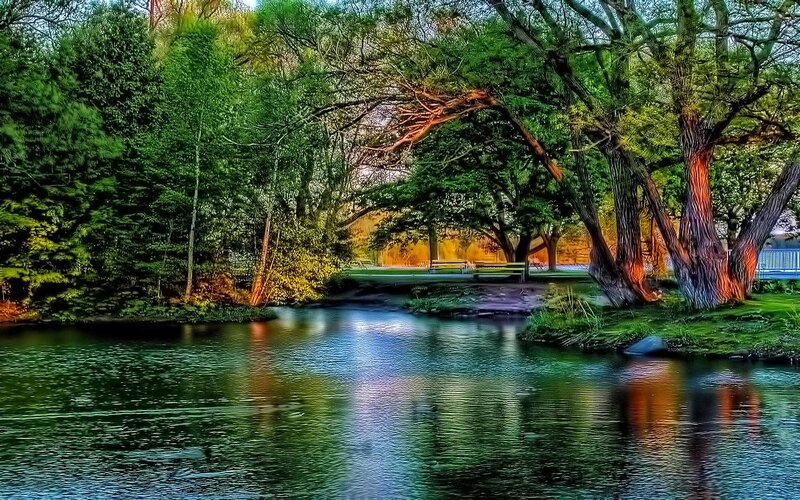 River in a forest park