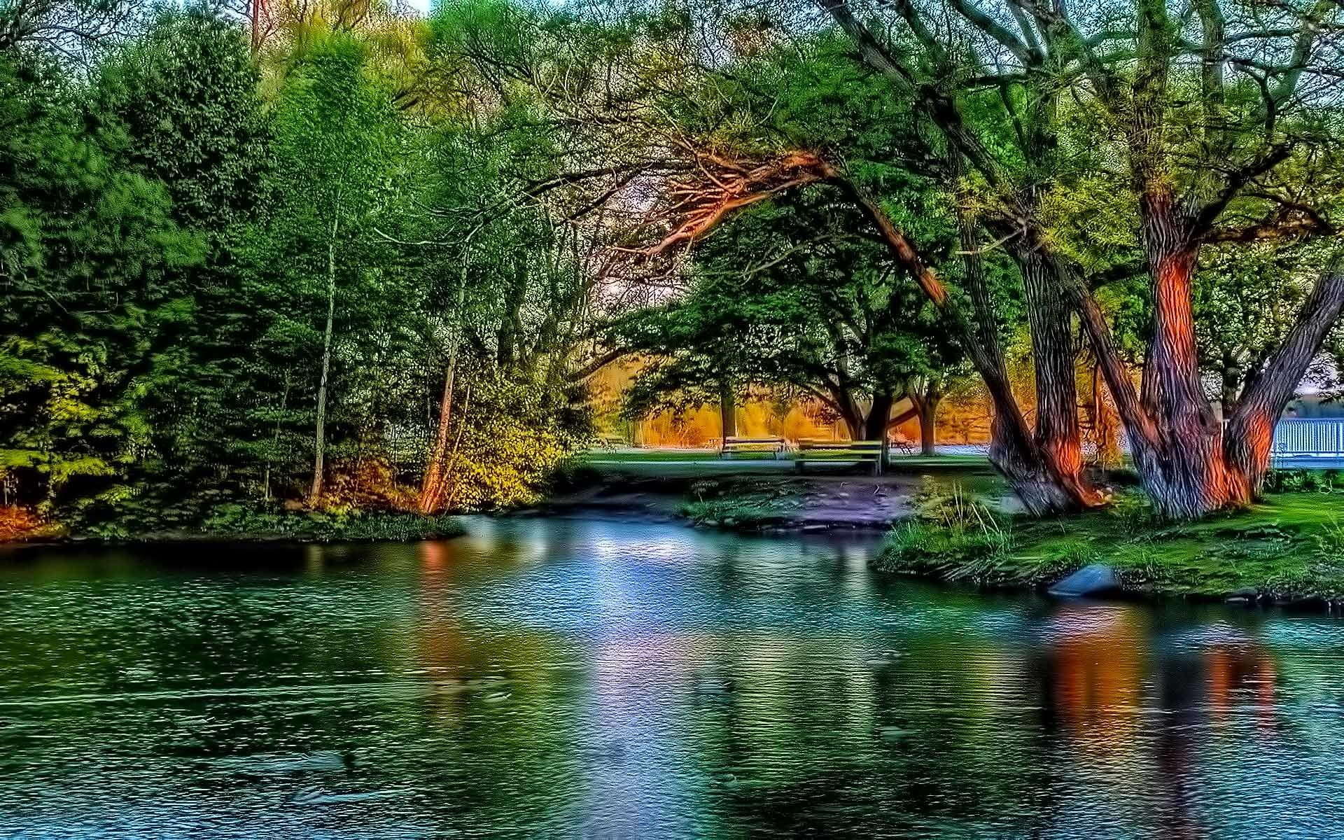 River in a forest park