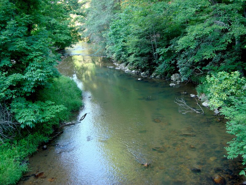 River in a forested area