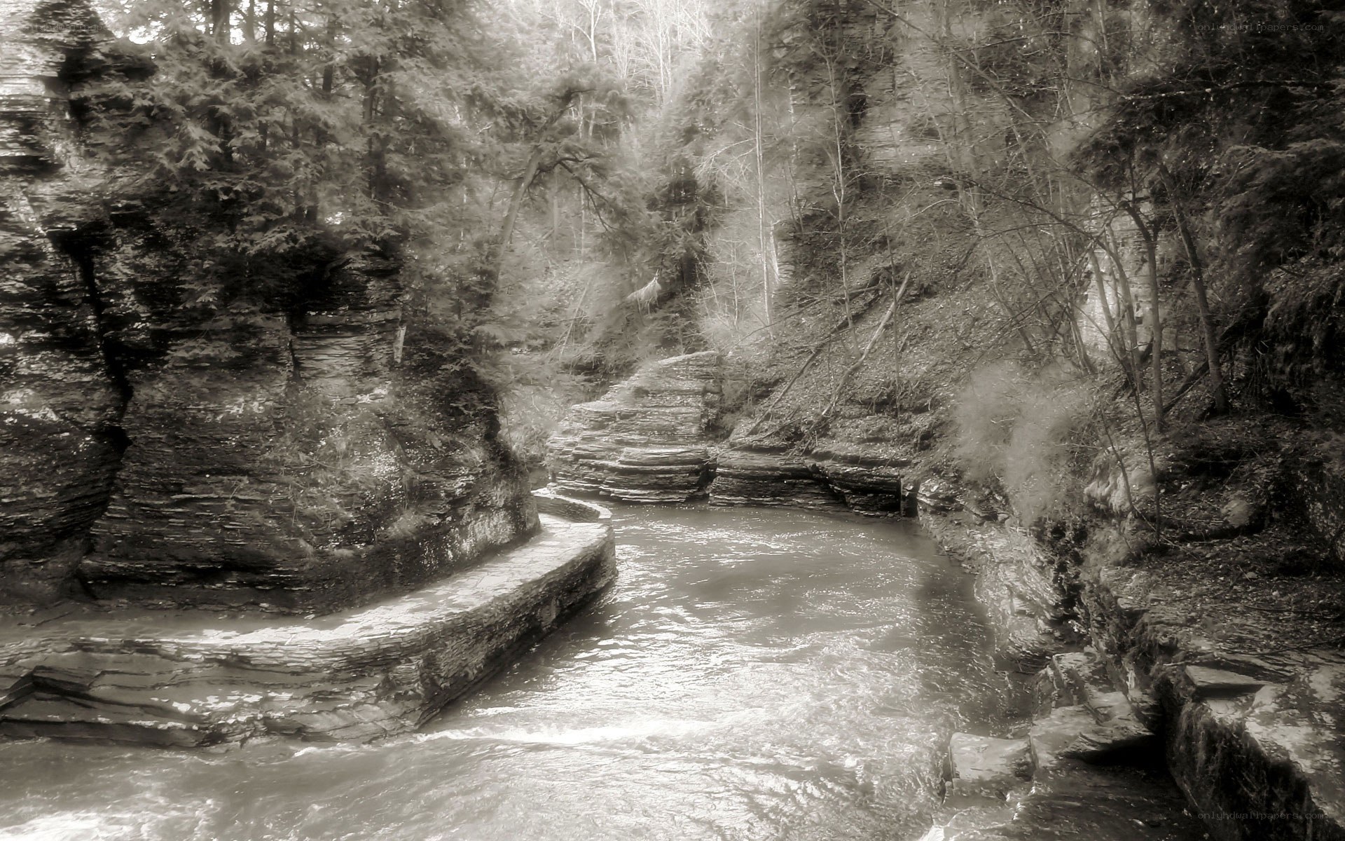 River in a forested canyon