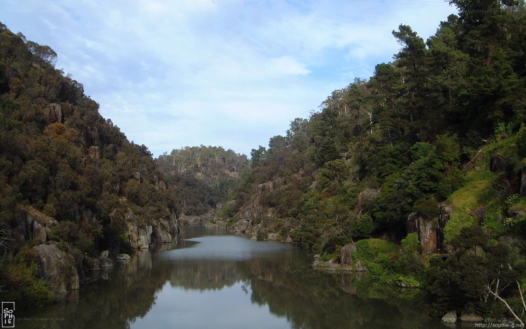 River in a forested canyon