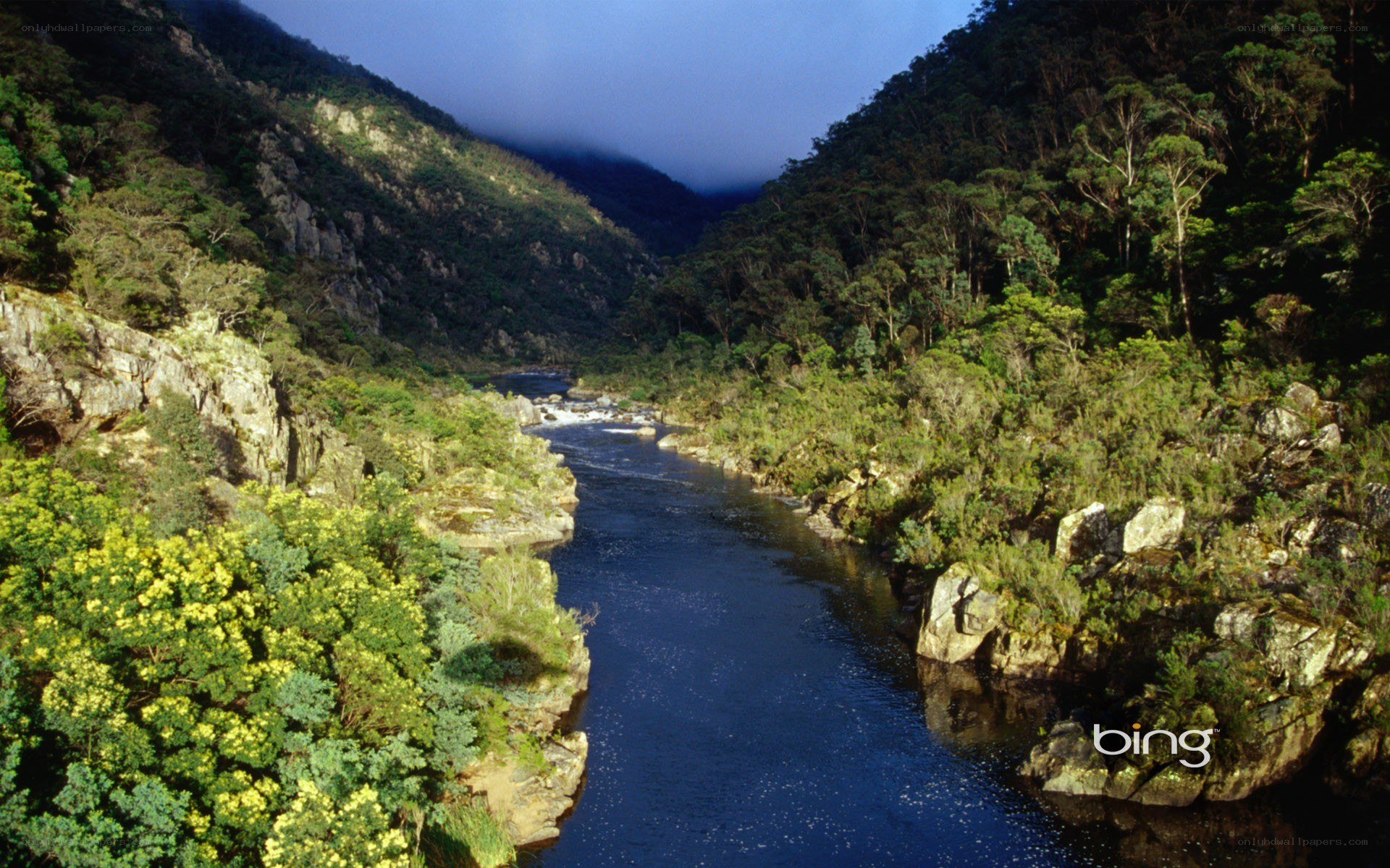 river in a forested canyon