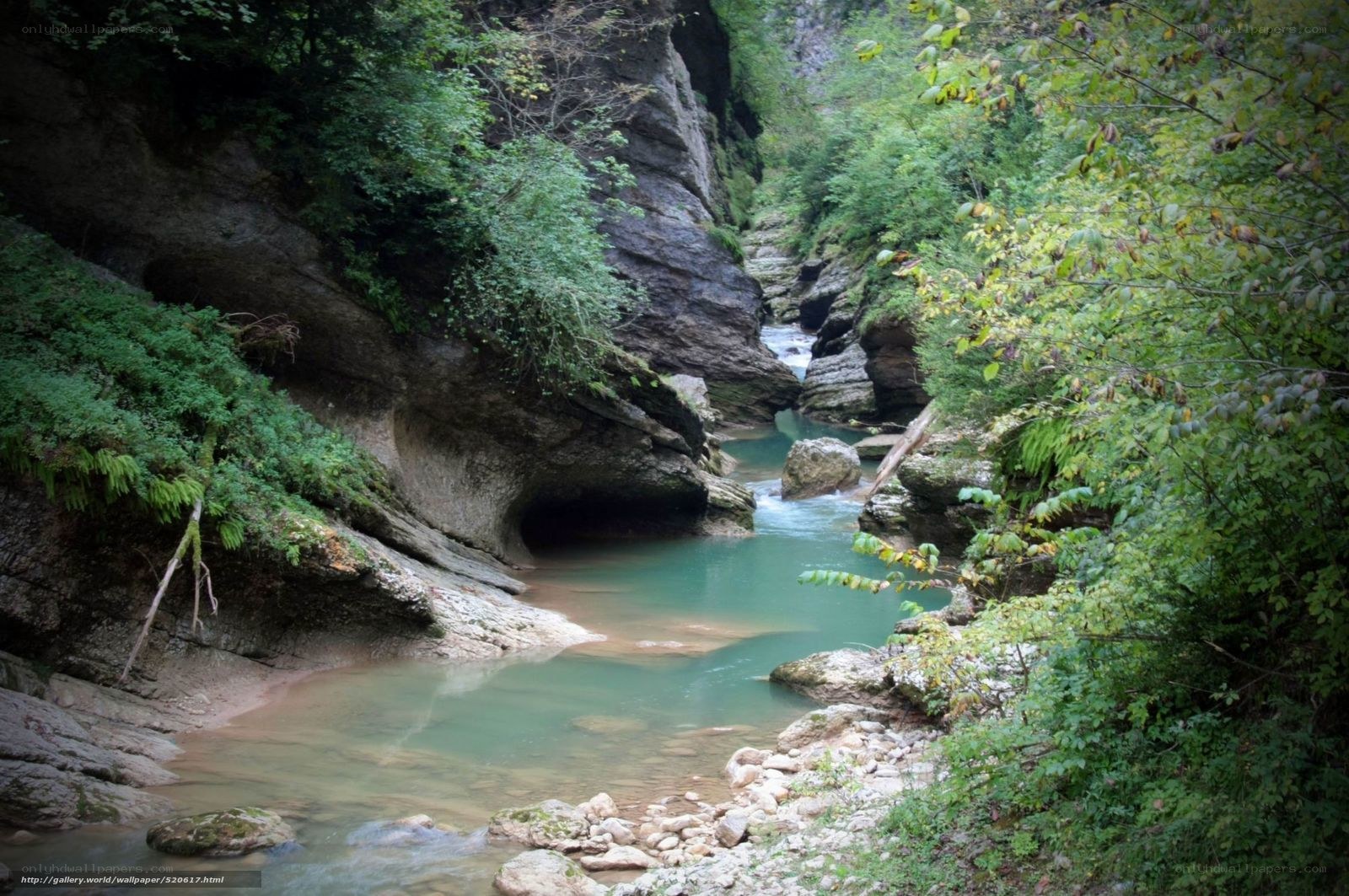 River in a forested canyon