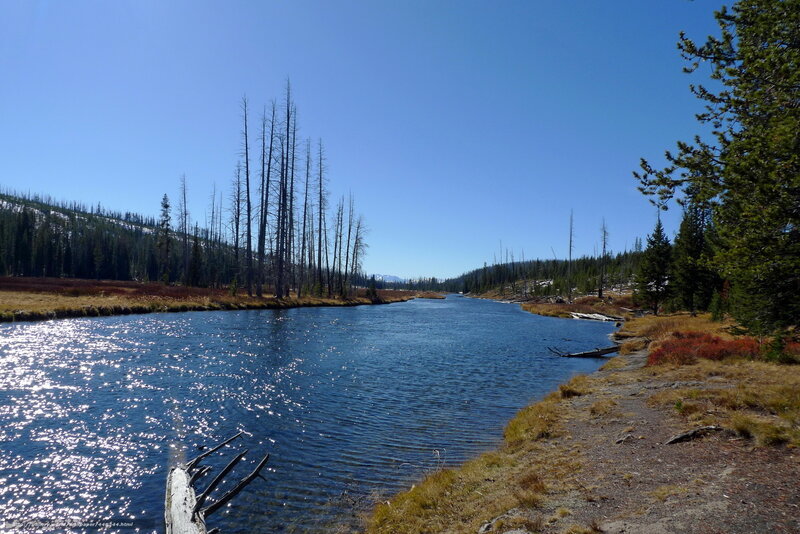 River in a forested landscape