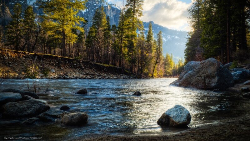 River in a forested mountain valley