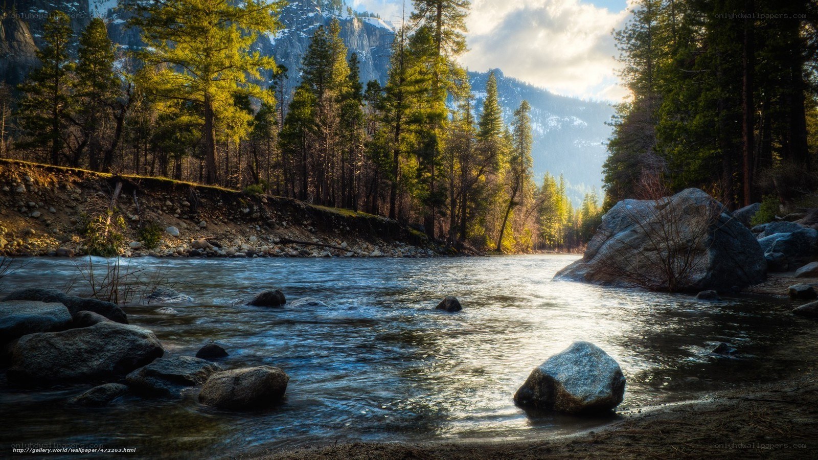 River in a forested mountain valley