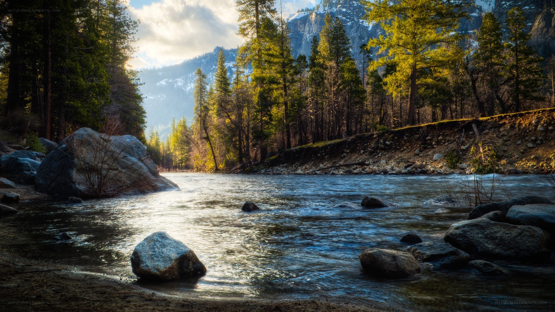 River in a forested valley