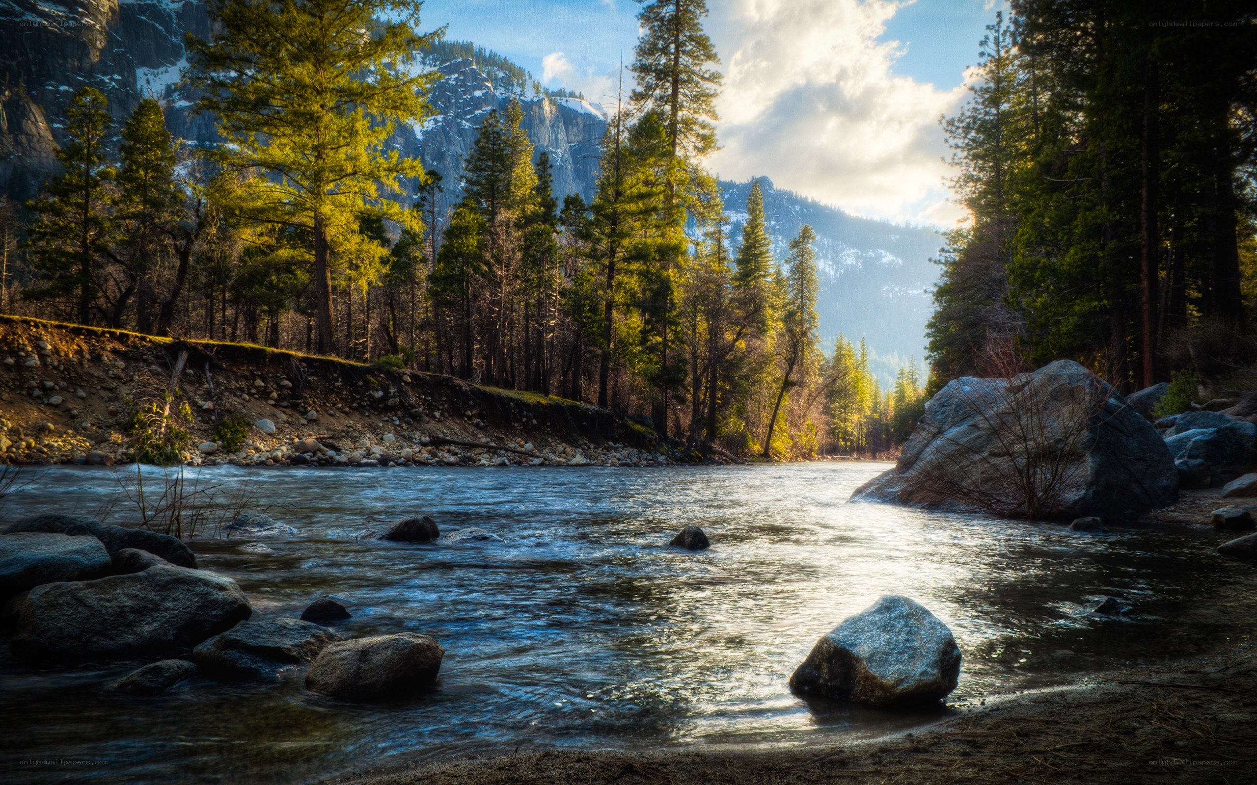 River in a forested valley