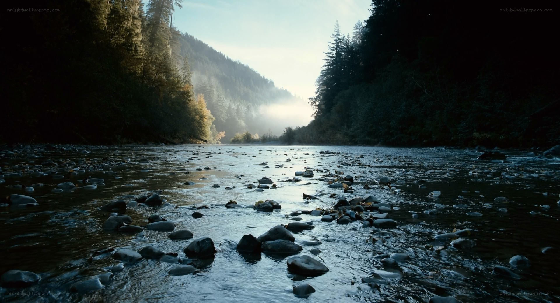 River in a forested valley