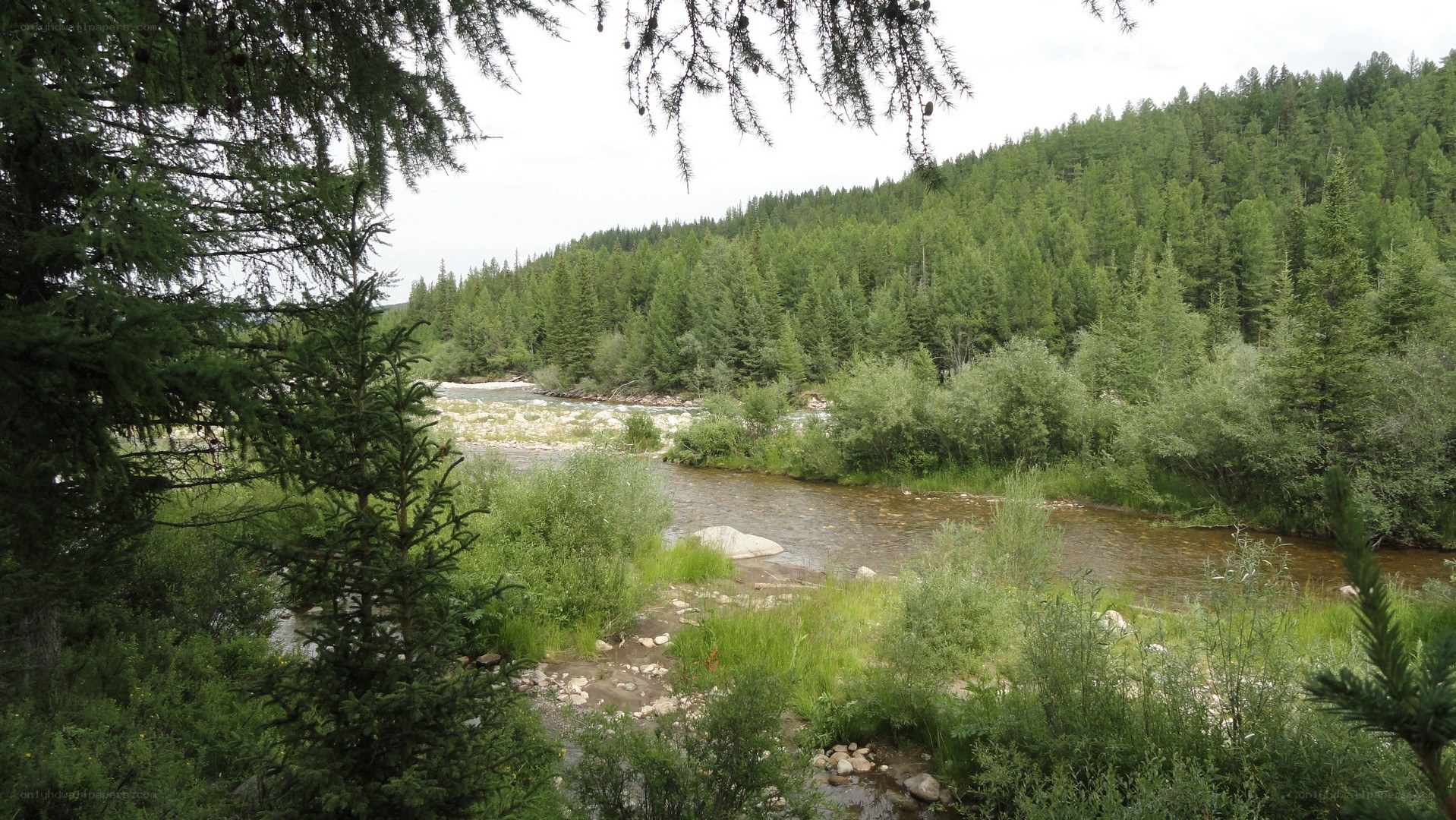 River in a forested valley